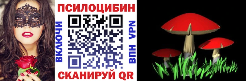 ОМГ ОМГ ссылки  где найти   Покачи  Псилоцибиновые грибы мухоморы 