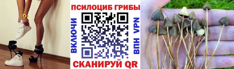Галлюциногенные грибы мицелий Покачи